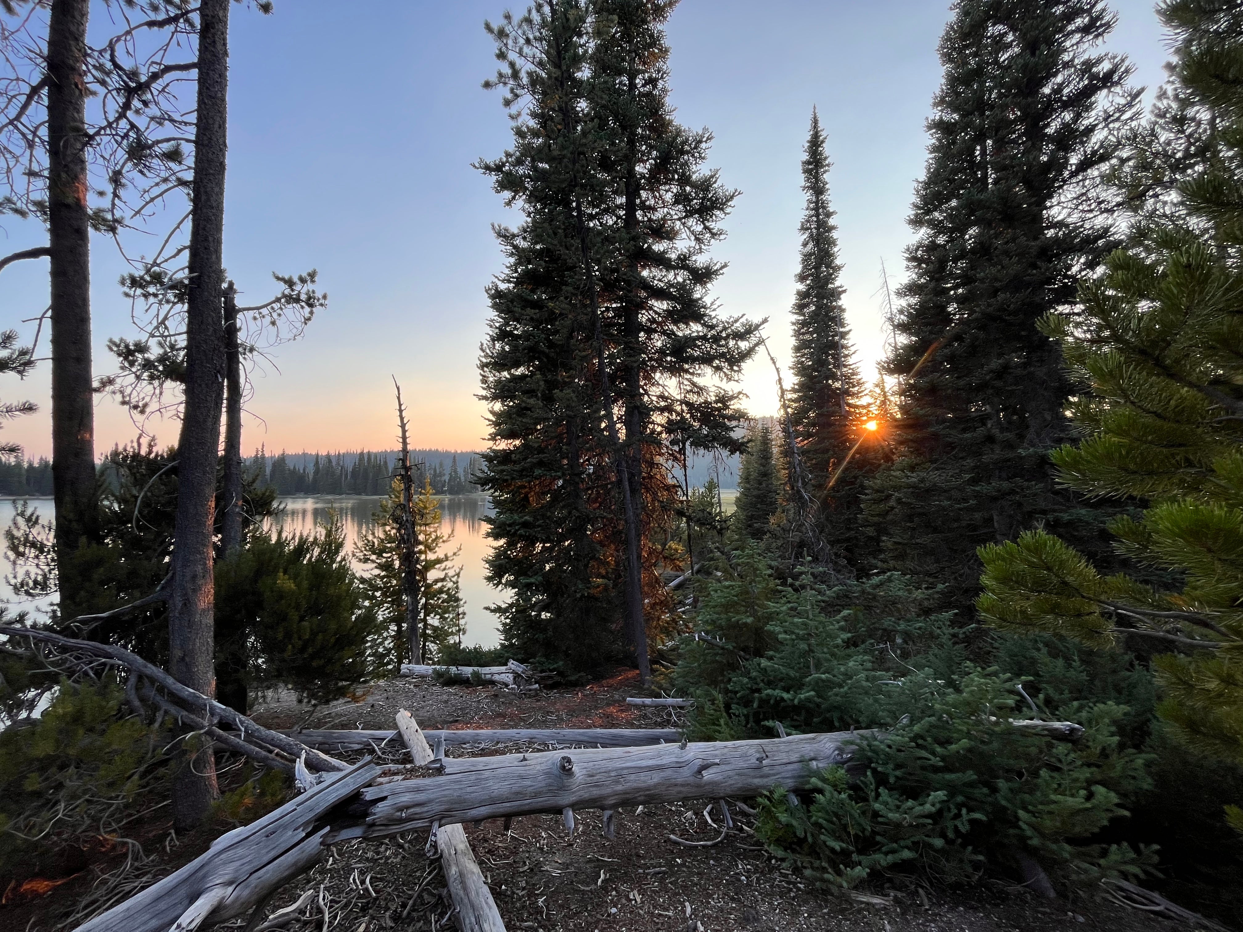 Camper submitted image from Sparks Lake Recreation Area - 1