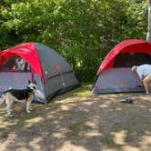 Review photo of Hog Island Point State Forest Campground by Michael N., August 15, 2023