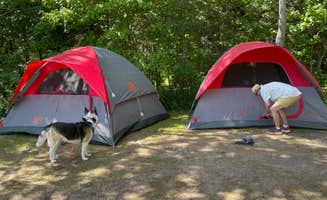 Michael N.'s photo at Hog Island Point State Forest Campground near Eckerman, MI