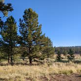 Review photo of Buffalo Springs by Mary C., August 15, 2023
