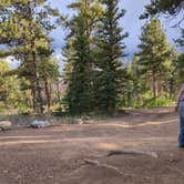 Review photo of Buffalo Springs by Mary C., August 15, 2023