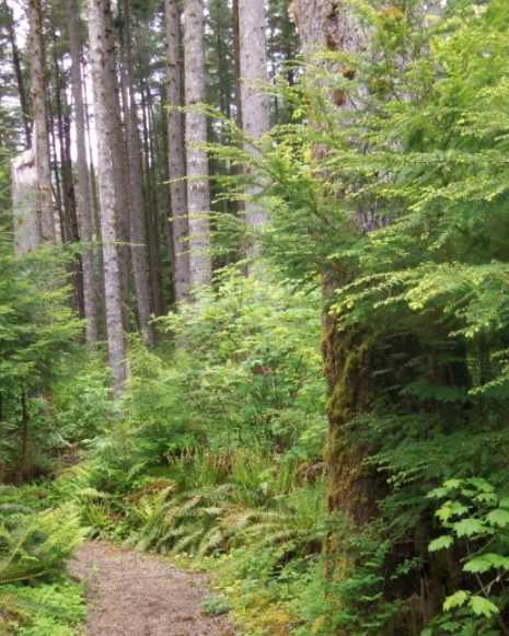 Camper-submitted photo at Klahowya Campground near Clallam Bay, WA