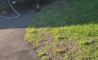 Cat R.'s photo of camping with pets at Sunset RV near Vestavia Hills, AL
