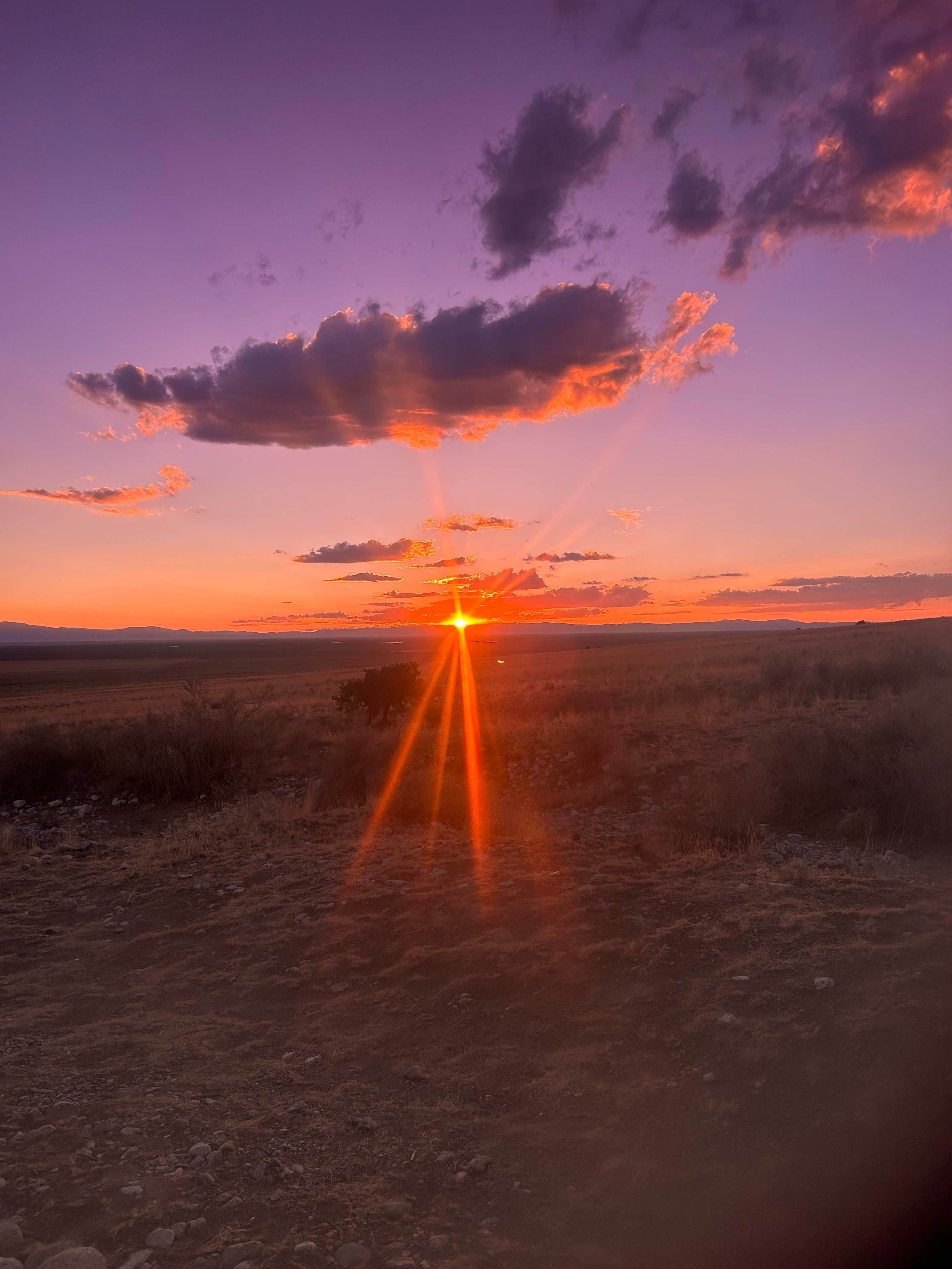 sav's photo of a dispersed camping area at BLM Mt. Blanca Rd. Dispersed near Walsenburg, CO