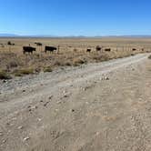 Review photo of BLM Mt. Blanca Rd. Dispersed by sav , August 15, 2023