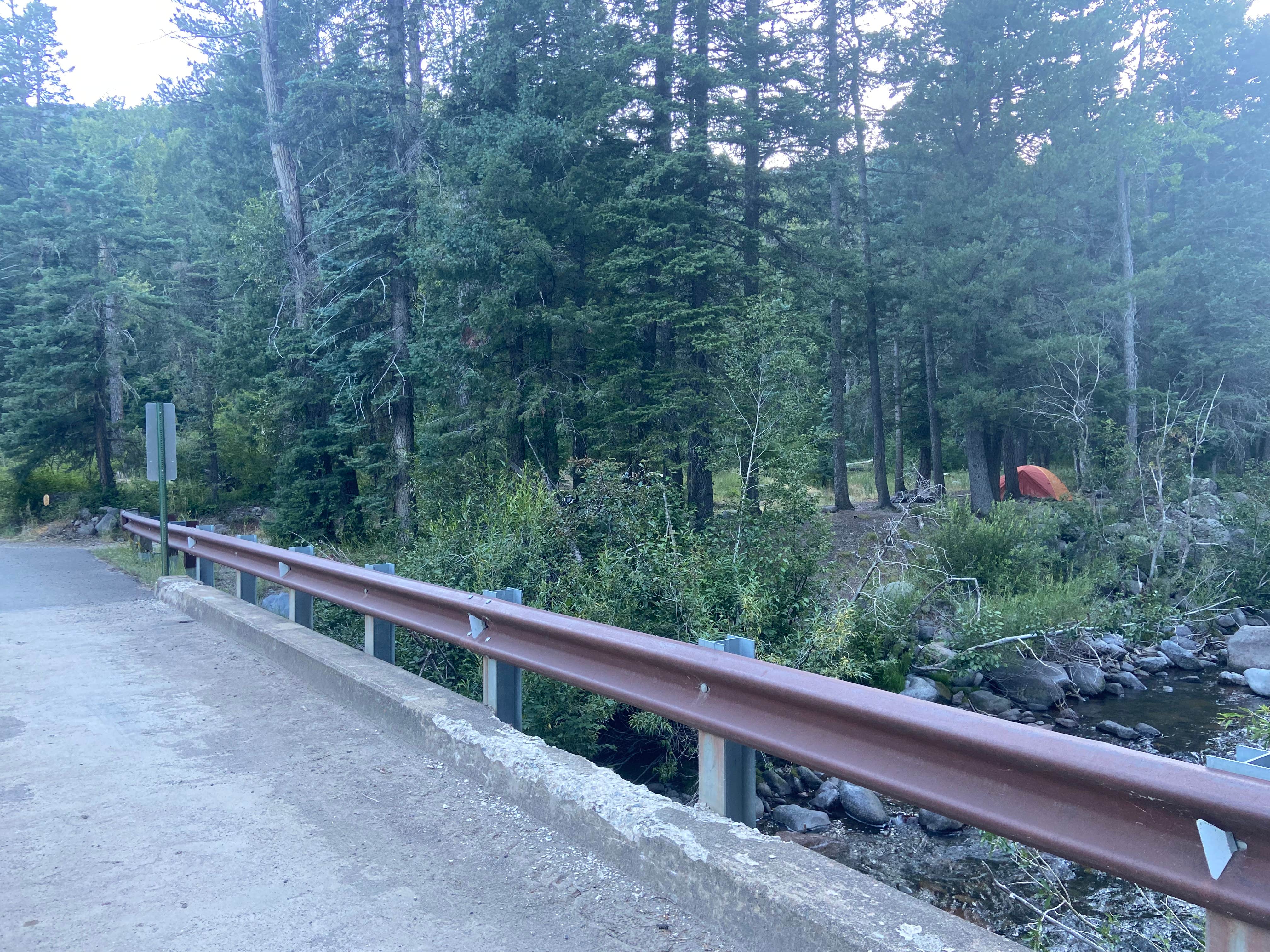 Rachel H.'s photo of a dispersed camping area at West Fork Dispersed near Pagosa Springs, CO