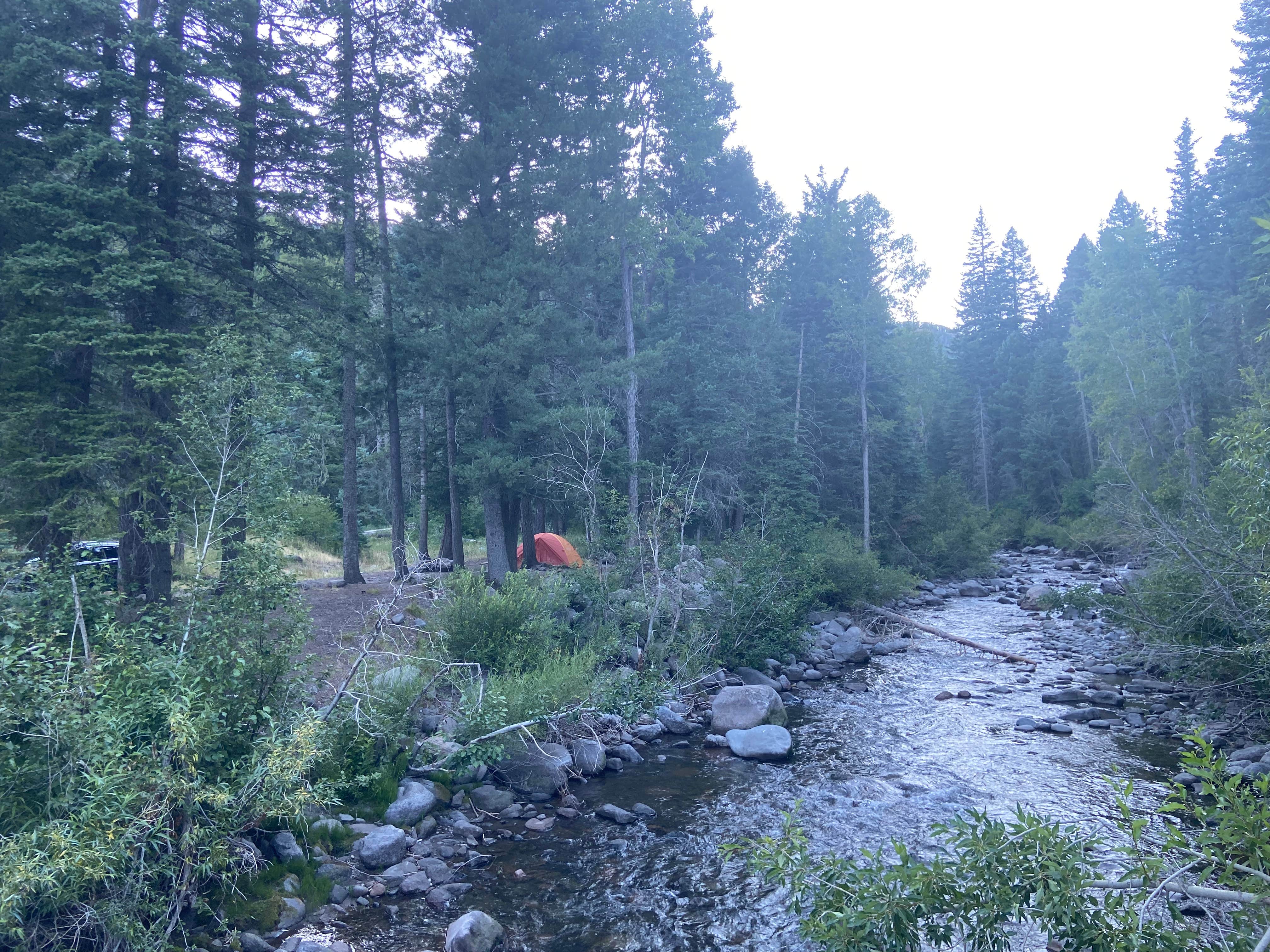 Rachel H.'s photo at West Fork Dispersed near Rio Grande National Forest