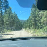 Review photo of West Fork Dispersed by Rachel H., August 15, 2023