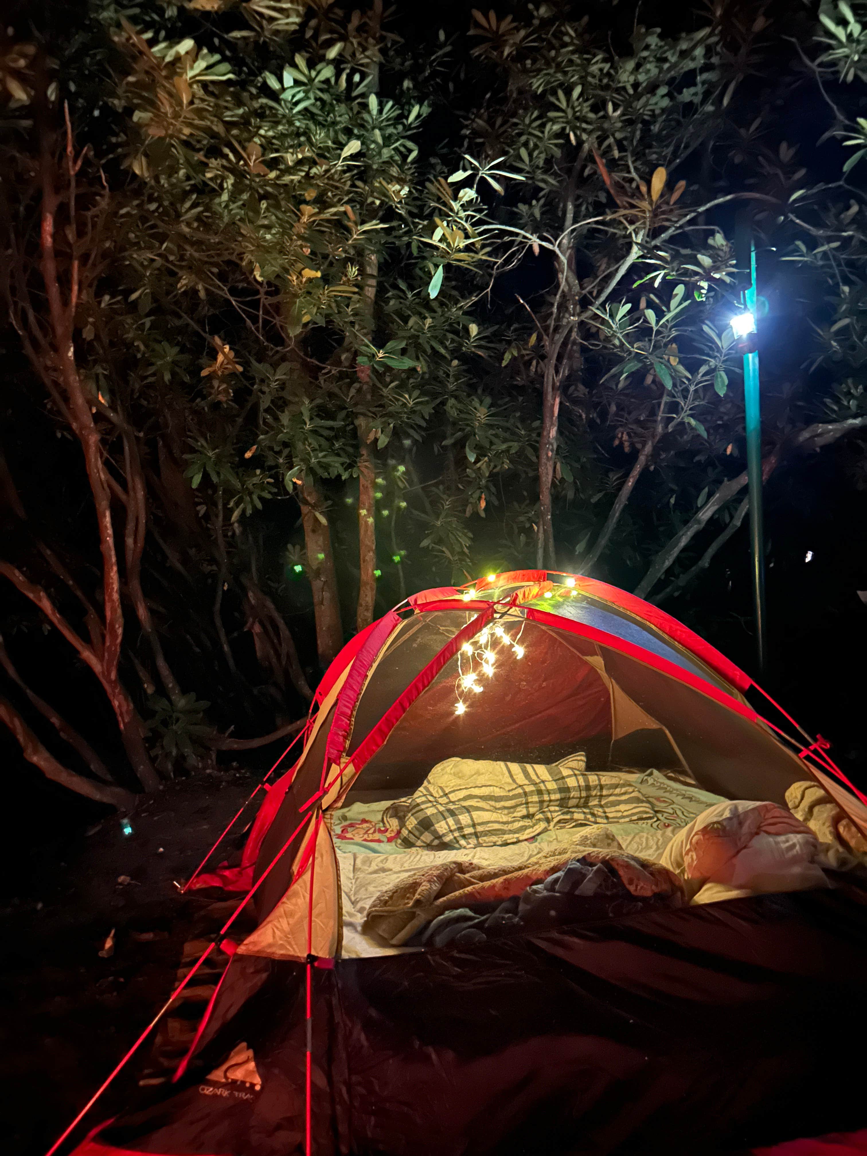 Camper-submitted photo at Camp Creek State Park Campground near Walkersville, WV