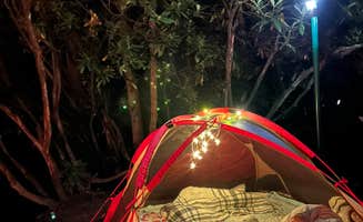 Rachel L.'s photo at Camp Creek State Park Campground near French Creek, WV