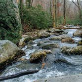 Review photo of Mountain Bridge Wilderness Area Trailside Camping — Caesars Head State Park by Maggie J., October 27, 2018