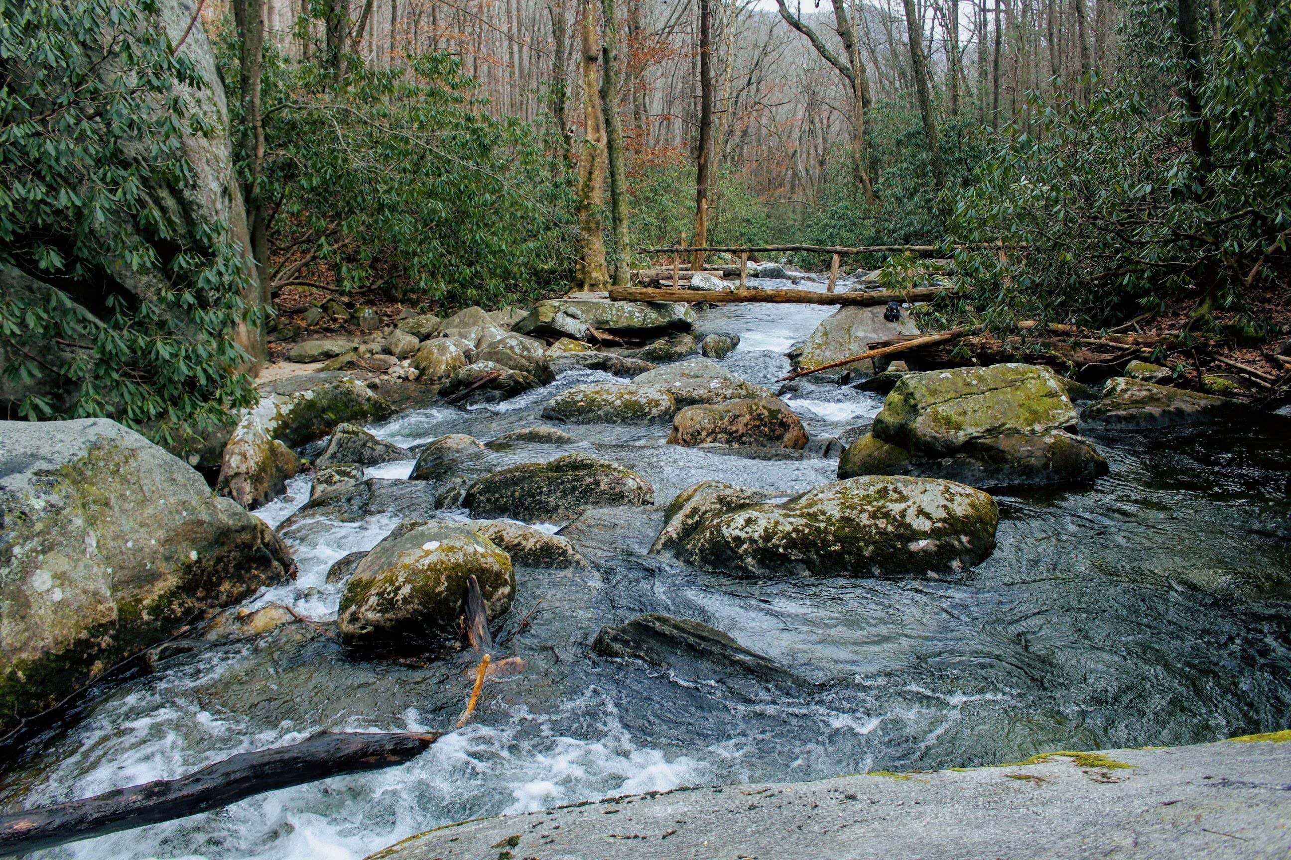 Camper submitted image from Mountain Bridge Wilderness Area Trailside Camping — Caesars Head State Park - 3