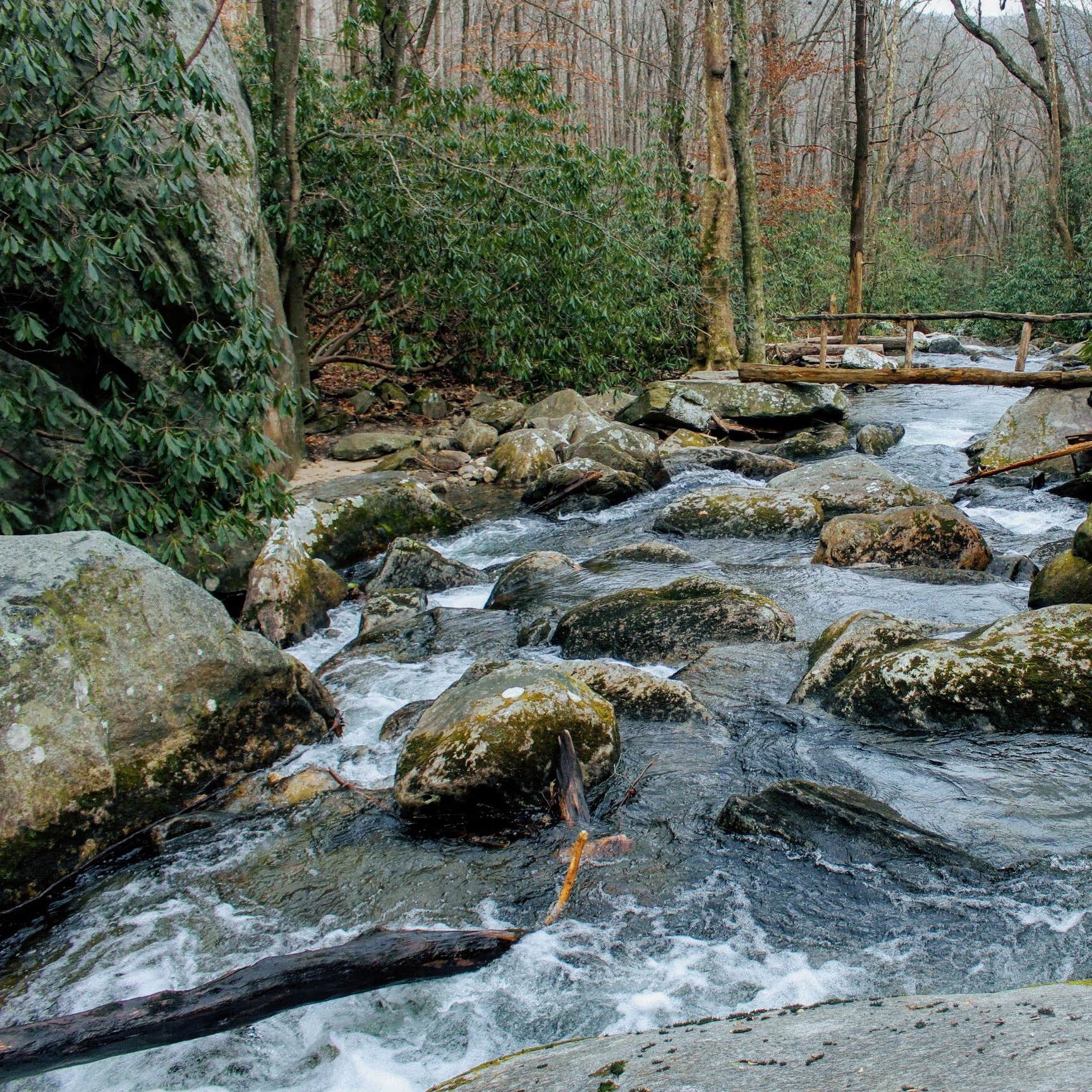 Albums 98+ Pictures mountain bridge wilderness area photos Sharp Albums 98+ Pictures mountain bridge wilderness area photos Sharp