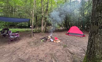 Camping near Bulltown Camp — Burnsville Lake Wildlife Management Area: Camp Creek State Park Campground, Sutton Lake, West Virginia