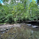 Review photo of Camp Creek State Park Campground by Rachel L., August 15, 2023