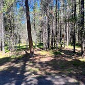 Review photo of Targhee National Forest Buttermilk Campground by lacey H., August 15, 2023