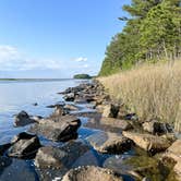 Review photo of Janes Island State Park Campground by Shanna S., August 15, 2023