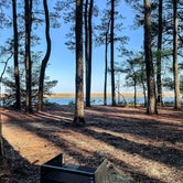 Review photo of Janes Island State Park Campground by Shanna S., August 15, 2023