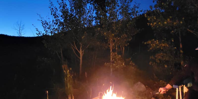 Camper submitted image from Blacktail Creek Campground