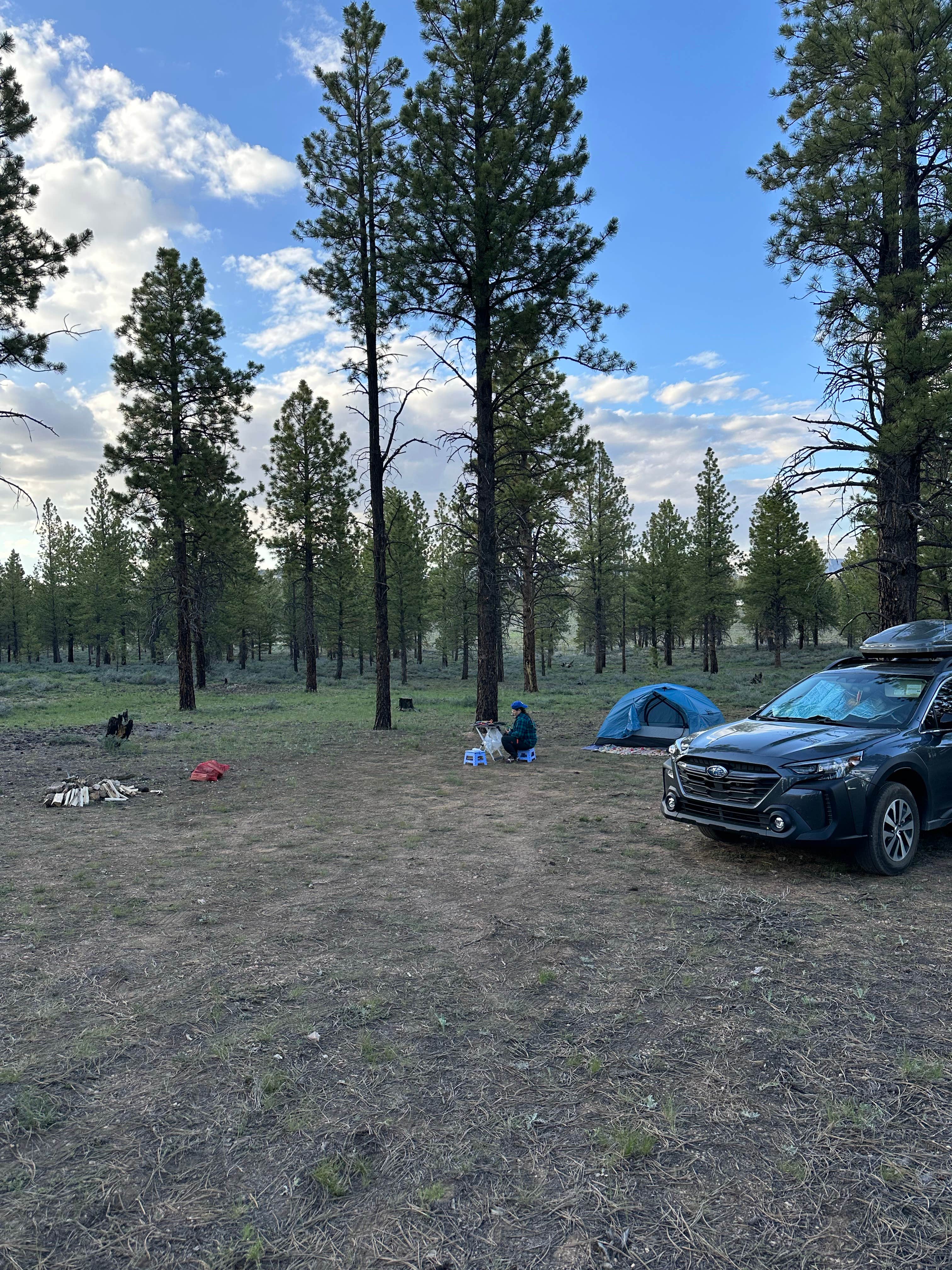 Katie G.'s photo at Toms Best Spring Road - Dispersed Camping near Dixie National Forest