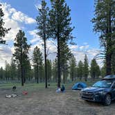 Review photo of Toms Best Spring Road - Dispersed Camping by Katie G., August 15, 2023
