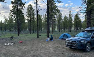 Katie G.'s photo at Toms Best Spring Road - Dispersed Camping near Dixie National Forest