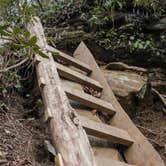 Review photo of Mountain Bridge Wilderness Area Trailside Camping — Caesars Head State Park by Maggie J., October 27, 2018