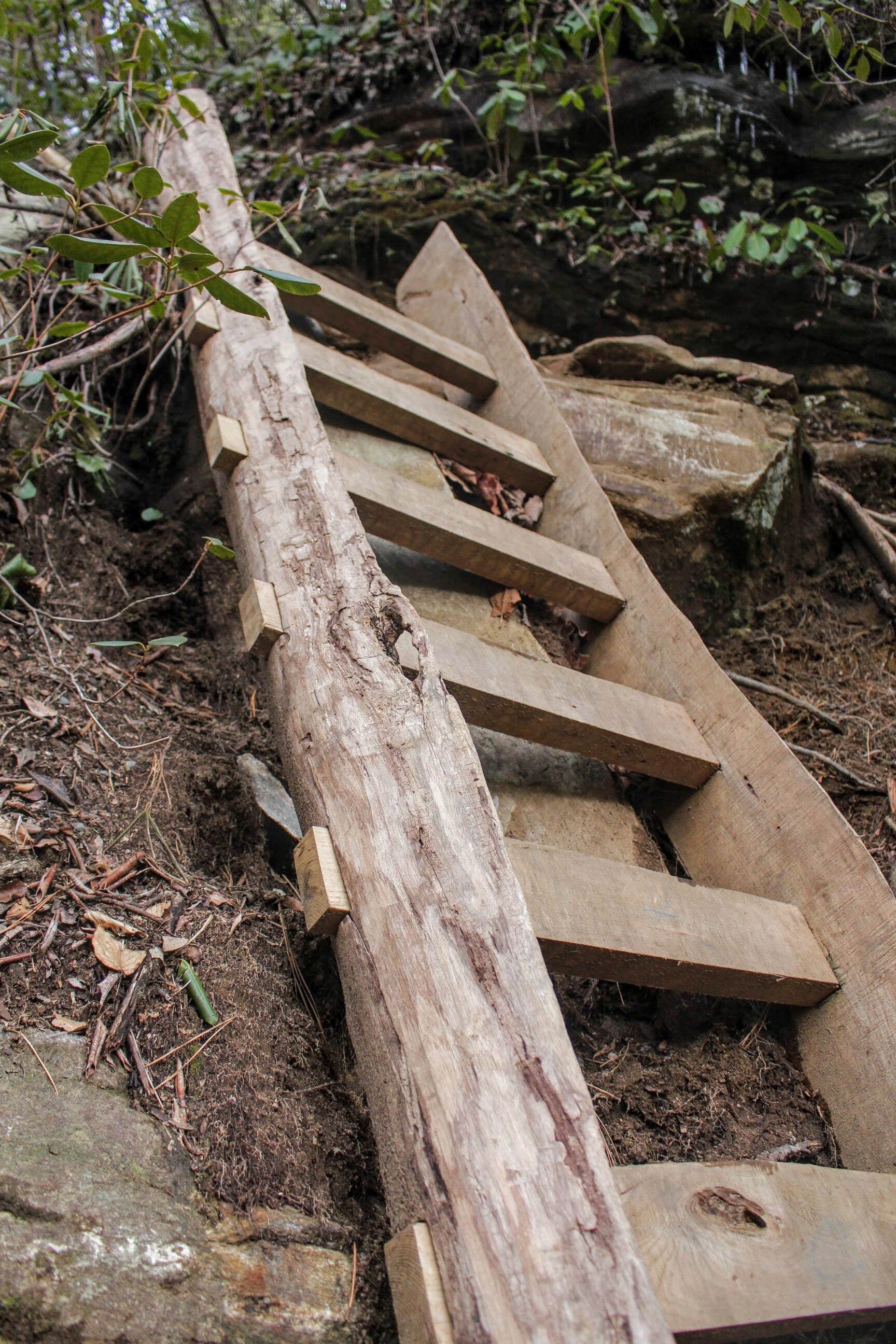 Camper submitted image from Mountain Bridge Wilderness Area Trailside Camping — Caesars Head State Park - 1