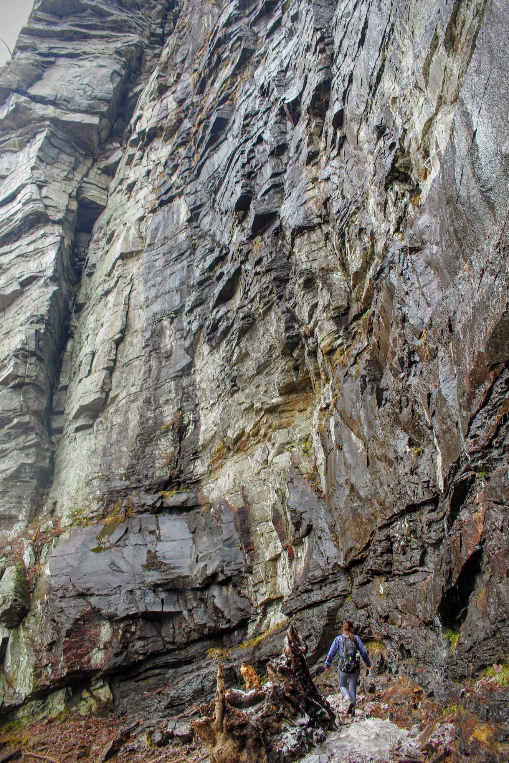 Camper-submitted photo at Mountain Bridge Wilderness Area Trailside Camping — Caesars Head State Park near Pisgah Forest, NC
