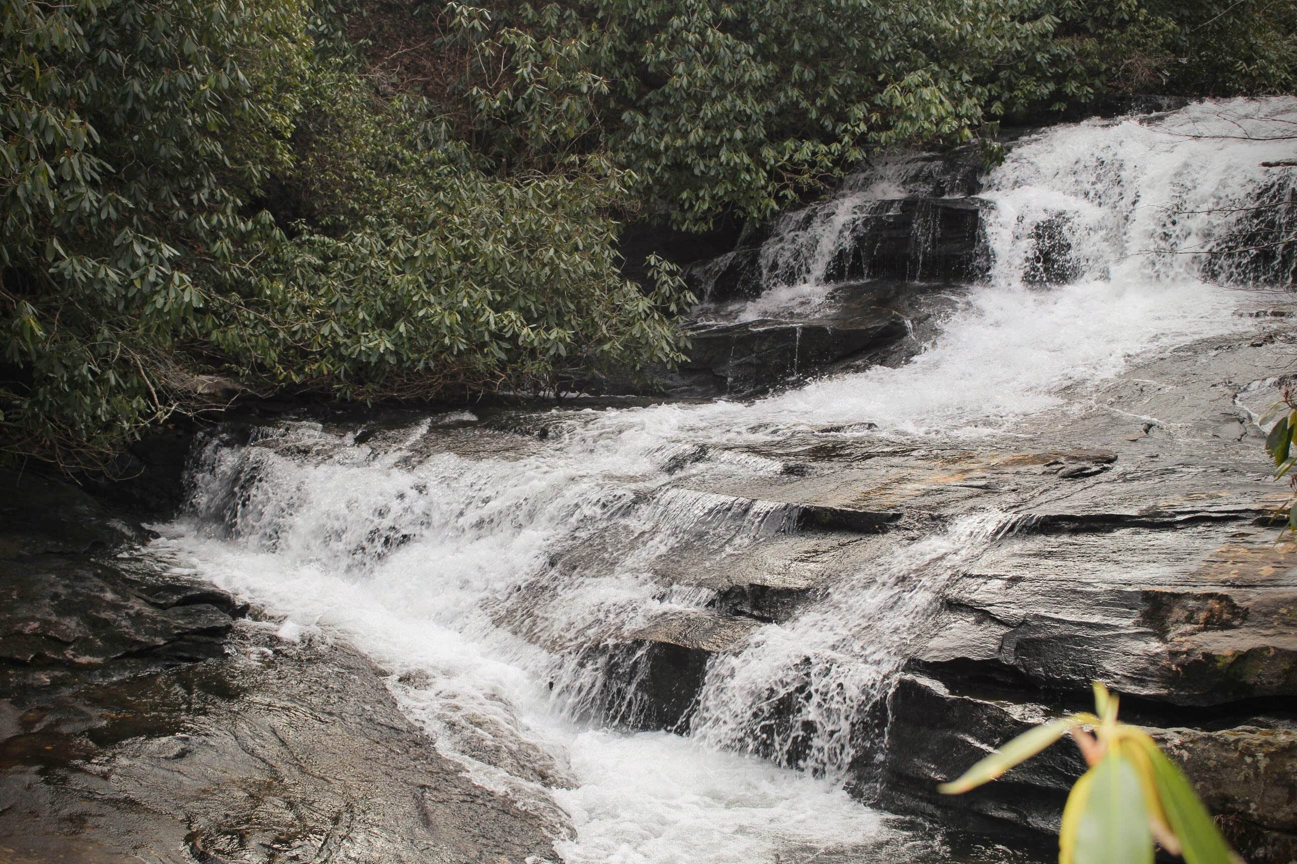 Camper-submitted photo at Mountain Bridge Wilderness Area Trailside Camping — Caesars Head State Park near Pisgah Forest, NC