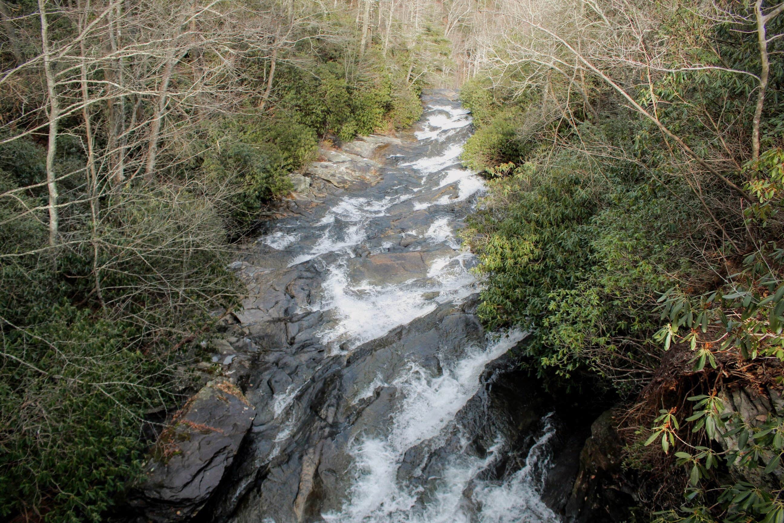 Camper-submitted photo at Mountain Bridge Wilderness Area Trailside Camping — Caesars Head State Park near Pisgah Forest, NC