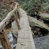 Review photo of Mountain Bridge Wilderness Area Trailside Camping — Caesars Head State Park by Maggie J., October 27, 2018