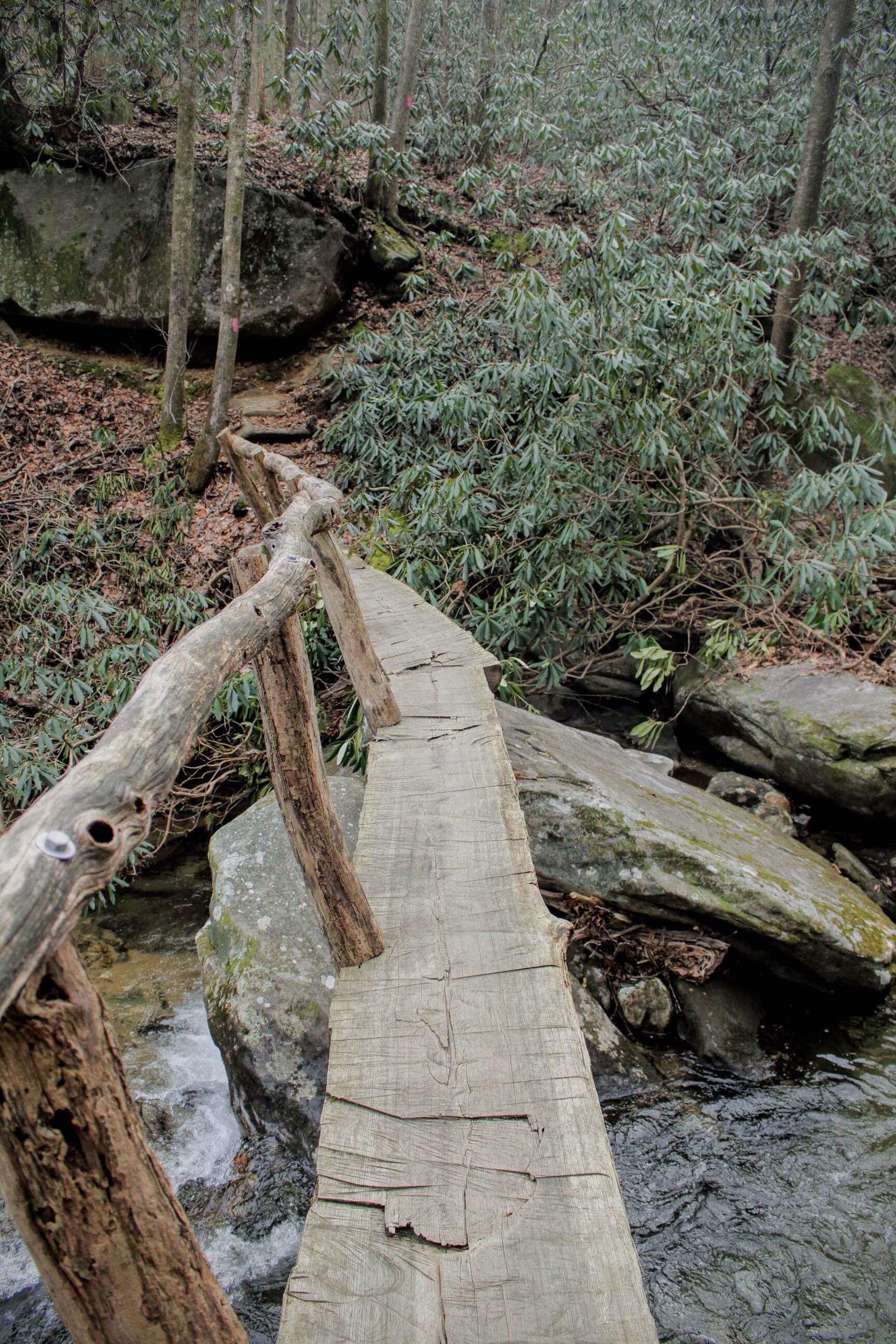 Camper submitted image from Mountain Bridge Wilderness Area Trailside Camping — Caesars Head State Park - 4