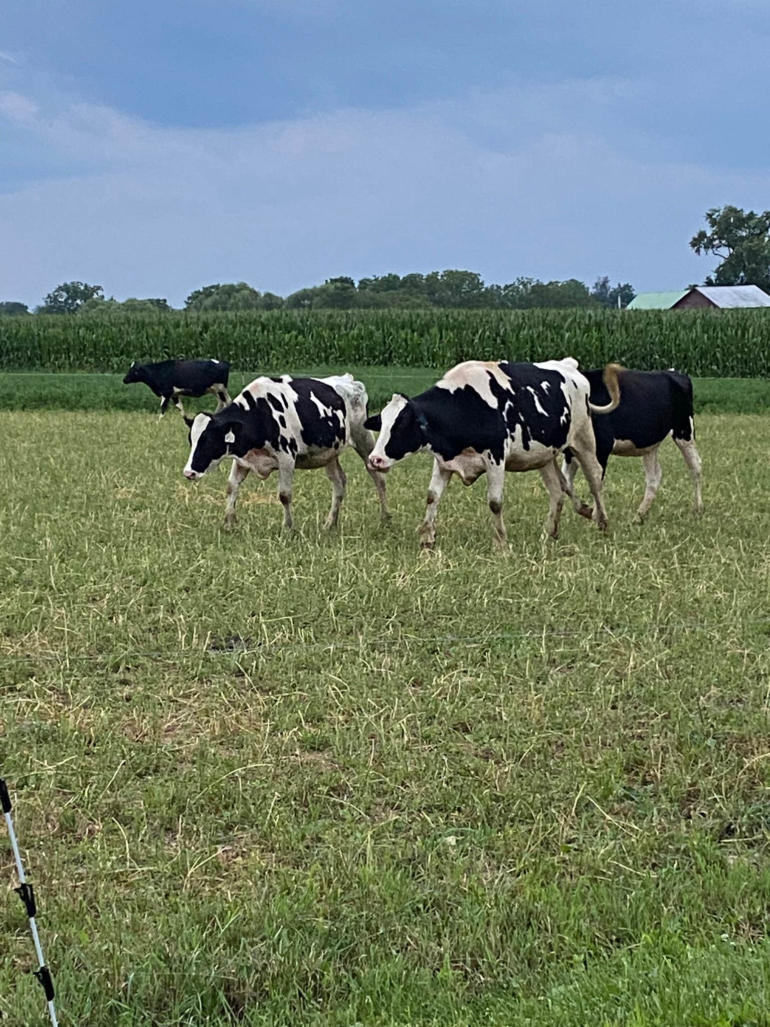 Camper-submitted photo at Shady Oak Campground near Lebanon, PA