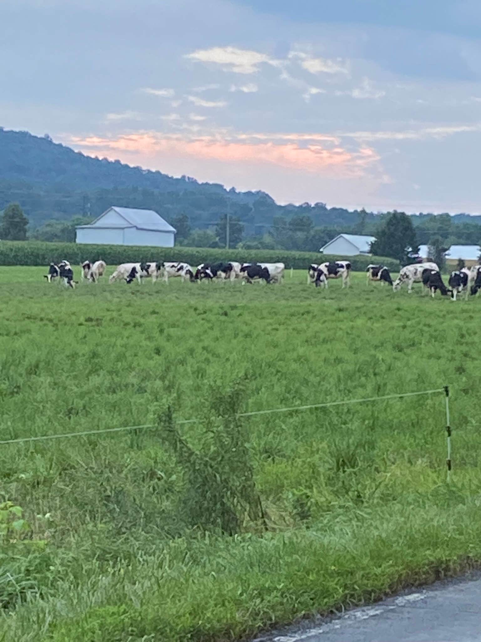 Camping near Starlite Camping Resort: Shady Oak Campground, Newmanstown, Pennsylvania