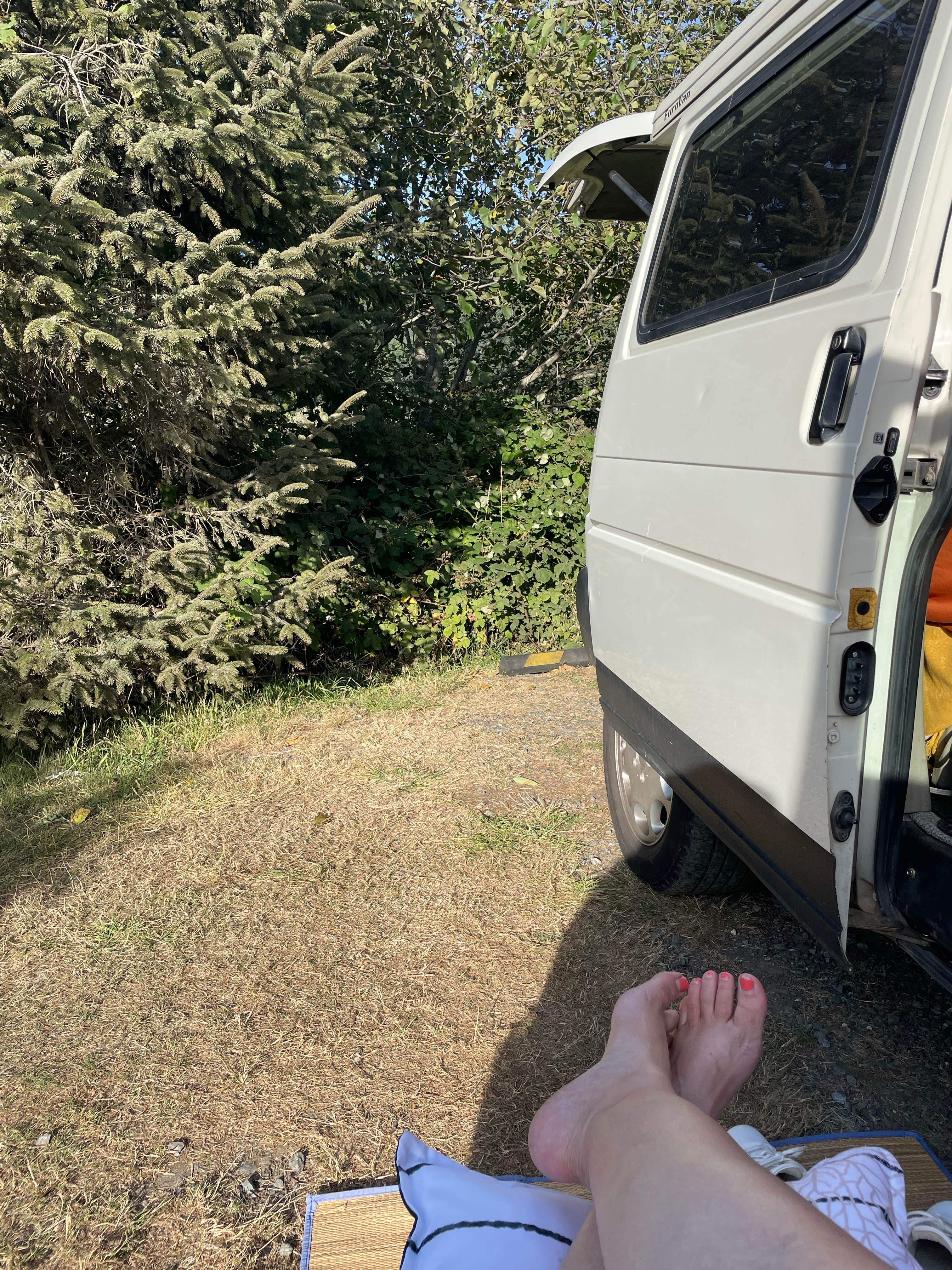 Alice V.'s photo of rv camping at Turtle Rock RV Resort near Brookings, OR