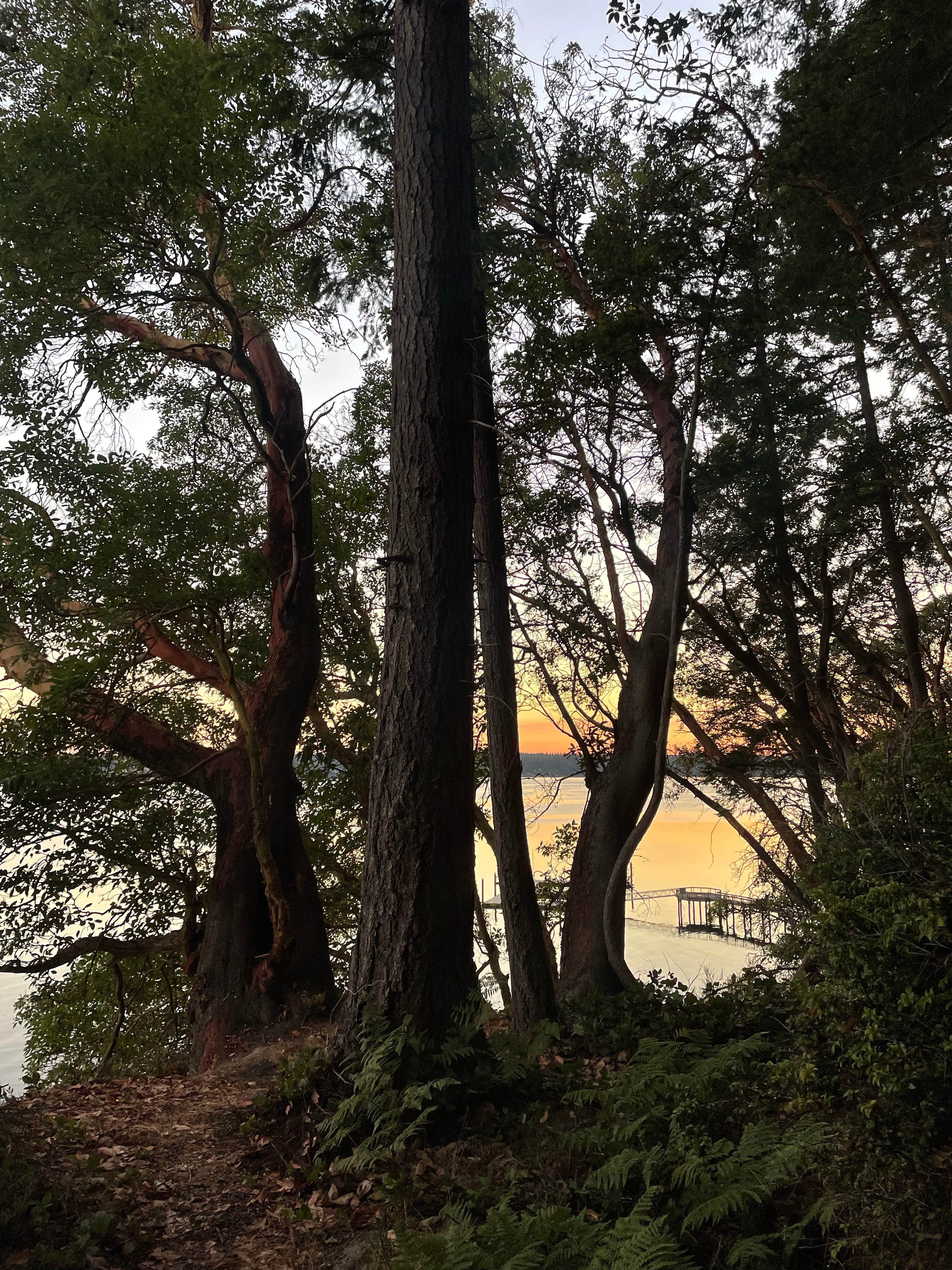 Camper-submitted photo at Joemma Beach State Park Campground near Lake Tapps, WA
