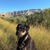 Review photo of Green River Campground — Dinosaur National Monument by Erik B., August 16, 2023