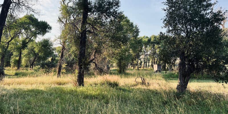 Camper submitted image from Indian Fort Montana FWP