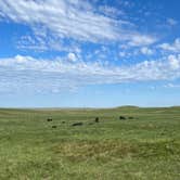 Review photo of Buffalo Gap Dispersed Camping by Carissa J., August 16, 2023