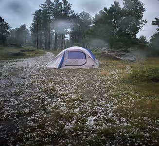 Camper-submitted photo from RD 356 Dispersed Site Black Hills National Forest
