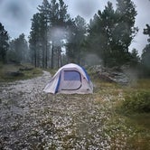 Review photo of RD 356 Dispersed Site Black Hills National Forest by Carissa J., August 16, 2023