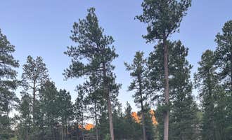 Camping near Black Elk Resort: RD 356 Dispersed Site Black Hills National Forest, Hill City, South Dakota
