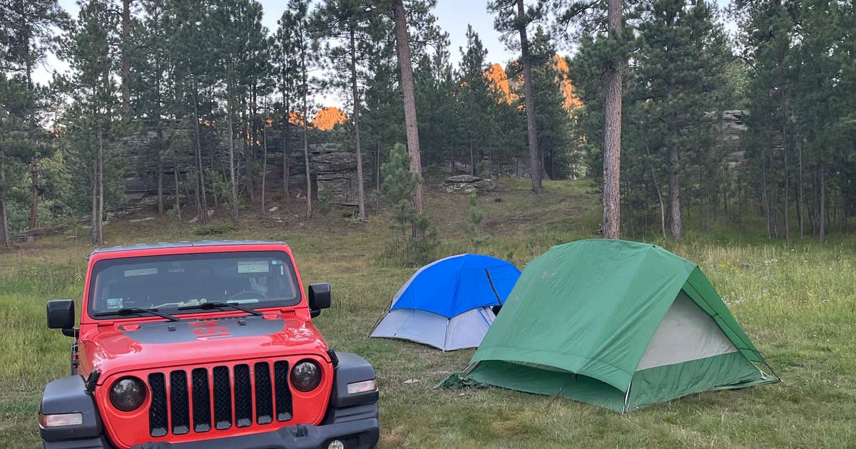 RD 356 Dispersed Site Black Hills National Forest
