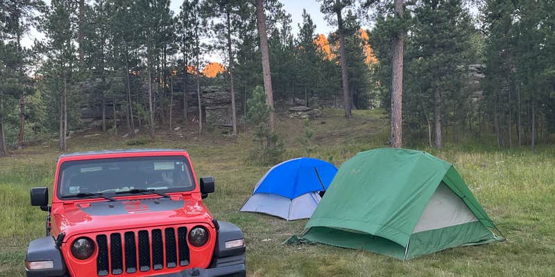 Camper submitted image from RD 356 Dispersed Site Black Hills National Forest