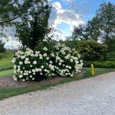 Review photo of Cave Country RV Campground by Erich H., August 16, 2023