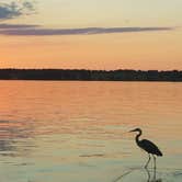 Review photo of Burnham Point State Park — Burnham Point by Mary S., October 27, 2018