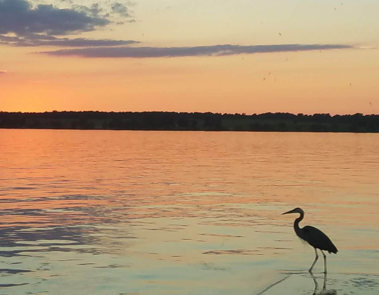 Camper submitted image from Burnham Point State Park Campground - 5