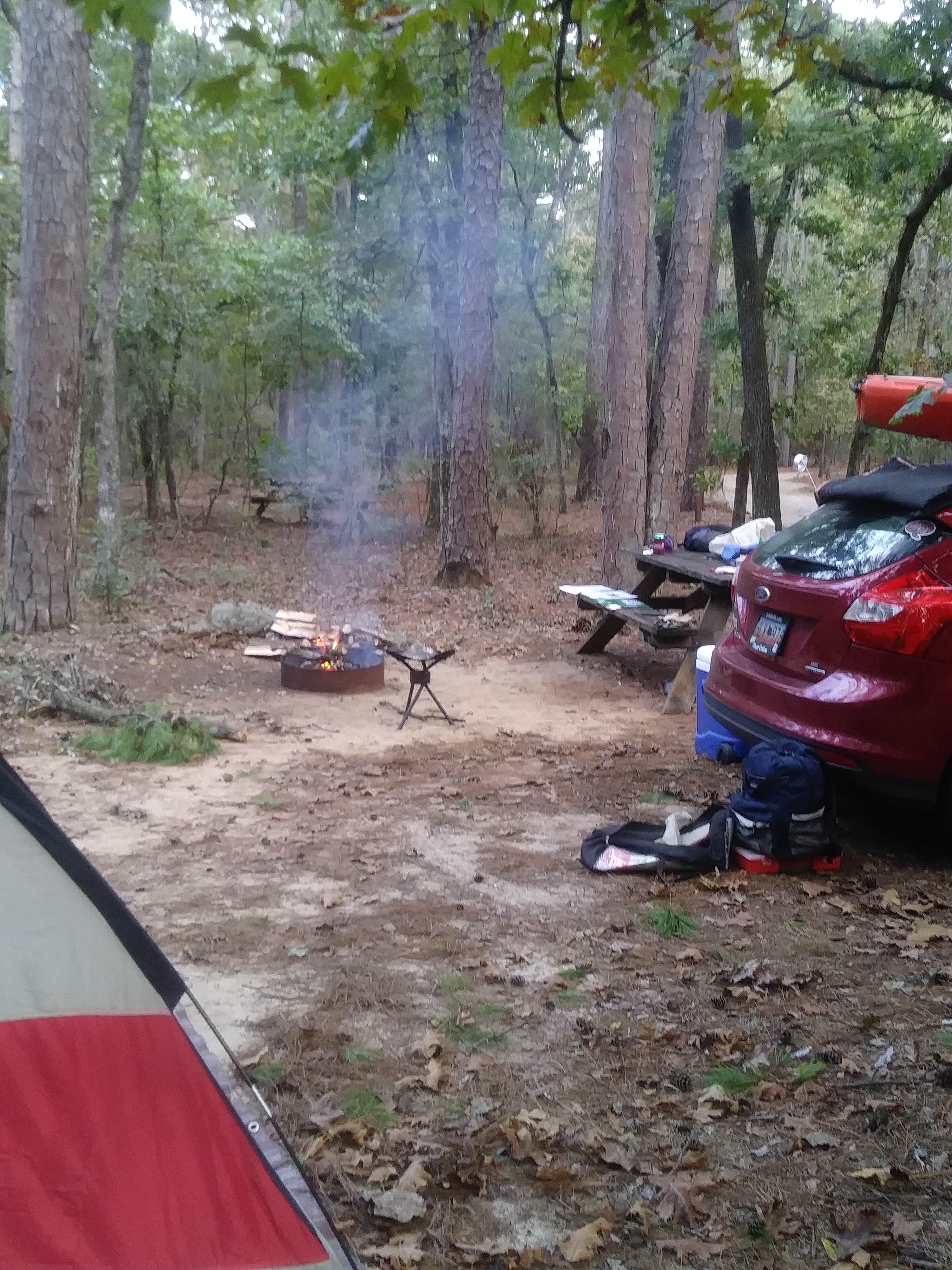 Joseph C.'s photo at Poinsett State Park Campground near Eastover, SC