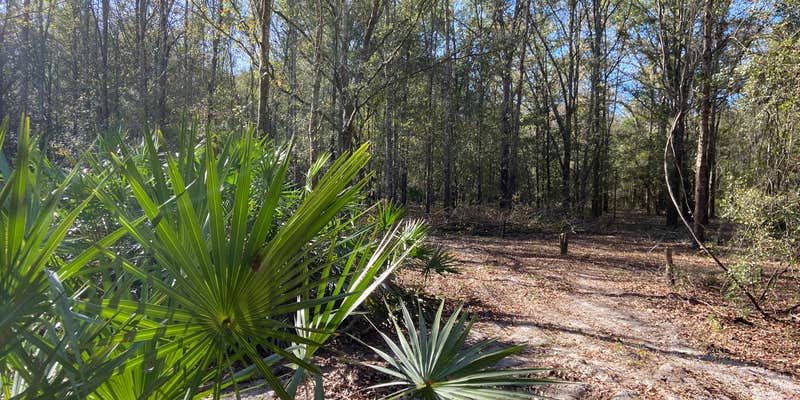 Camper submitted image from The Idea Farm, Agritourism Destination